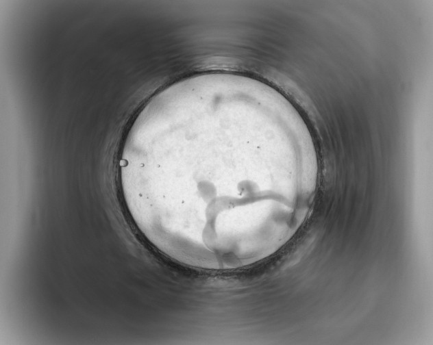 X0000091580529200709171117