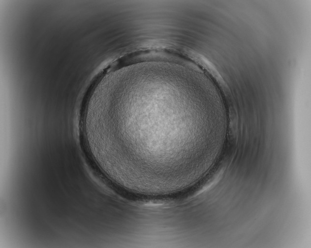 X0000091580530200709171117