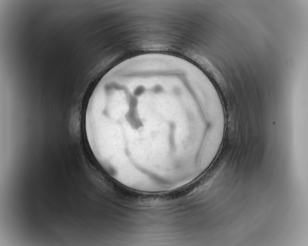 X0000091580533200709171117