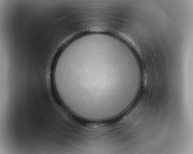 X0000091580535200709171117