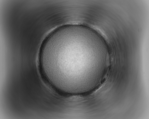 X0000091580536200709171117
