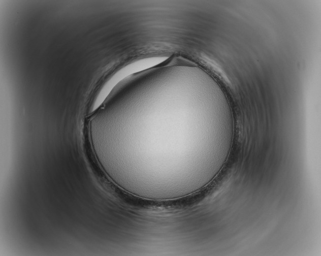 X0000091580538200709171117