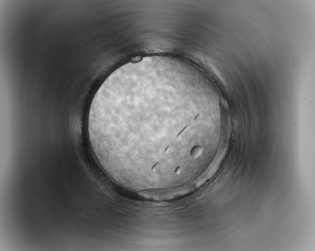 X0000091580539200709171117