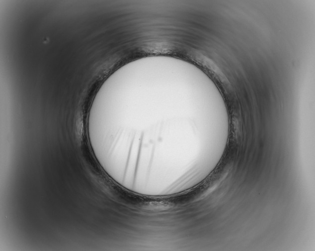 X0000091580541200709171117