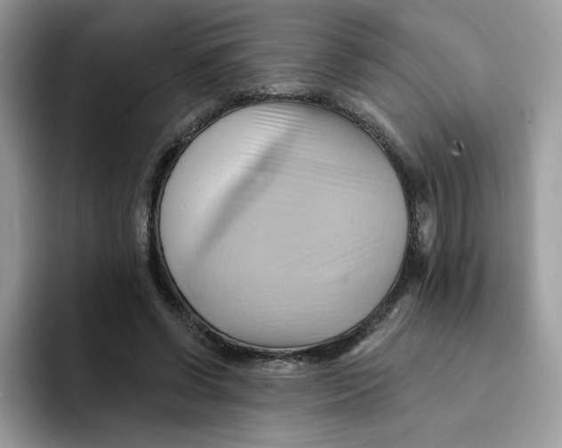 X0000091580542200709171117