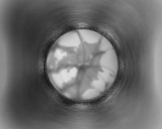 X0000091580545200709171117
