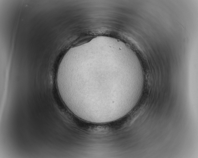 X0000091580546200709171117