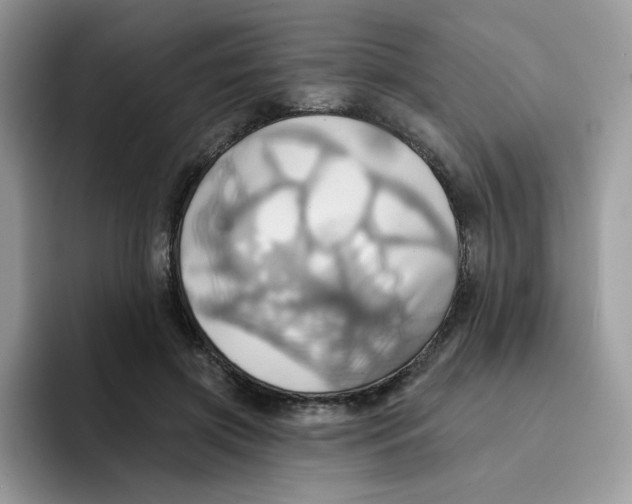 X0000091580549200709171117