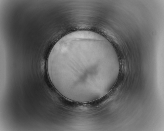 X0000091580550200709171117
