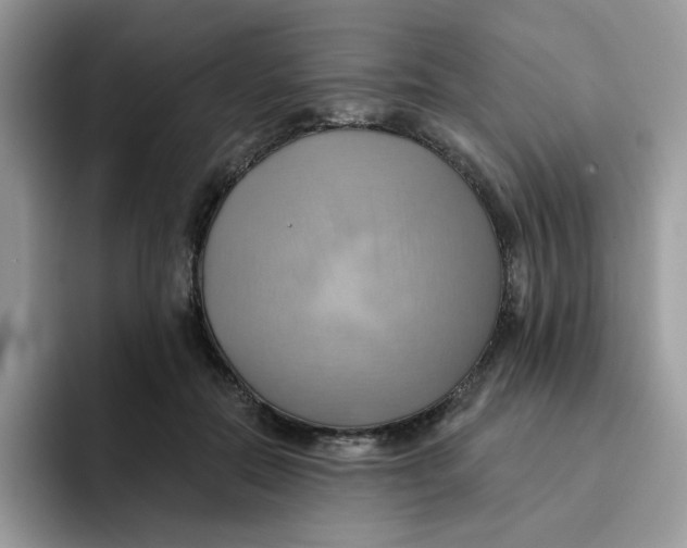 X0000091580554200709171117