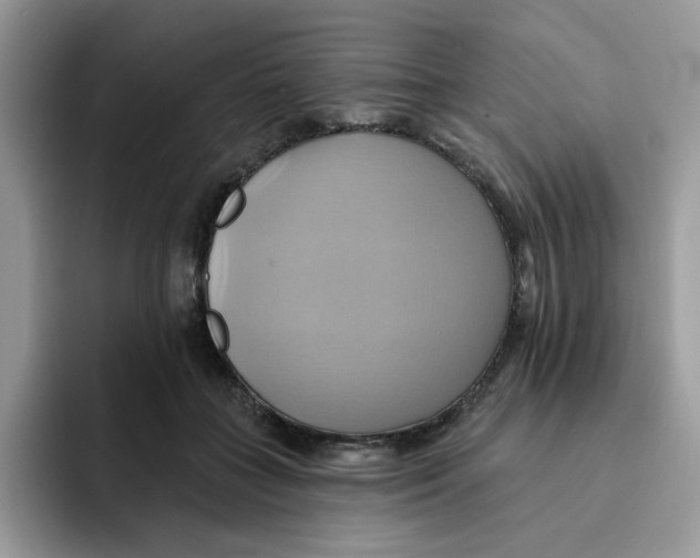 X0000091580555200709171117