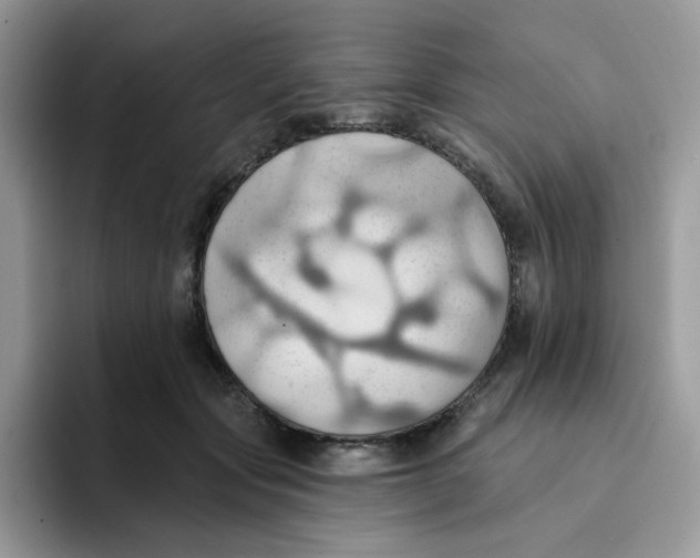 X0000091580557200709171117