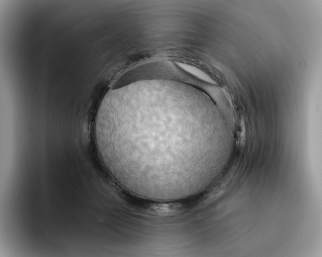 X0000091580558200709171117
