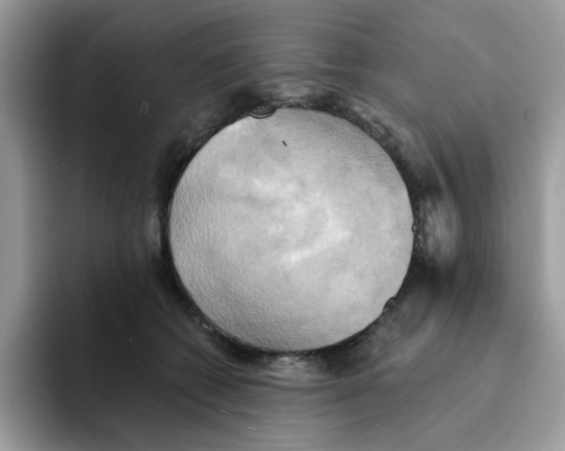 X0000091580562200709171118