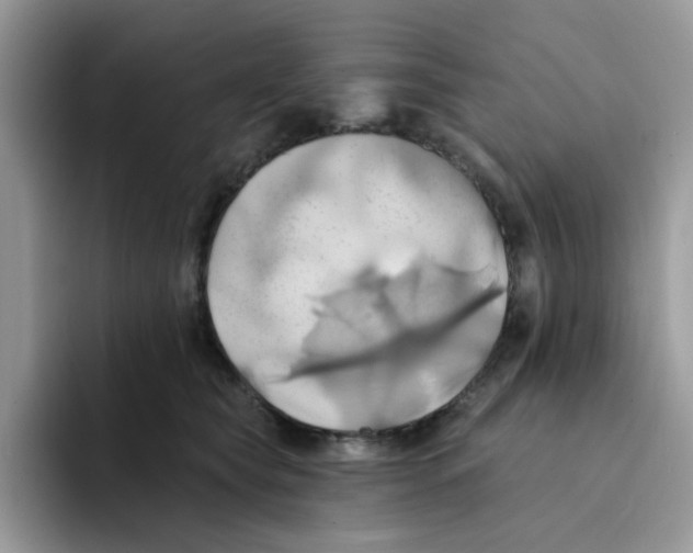 X0000091580565200709171118
