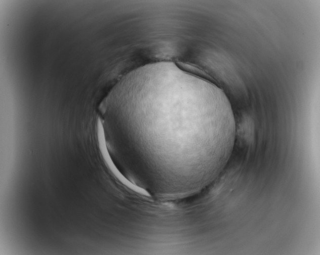 X0000091580572200709171118