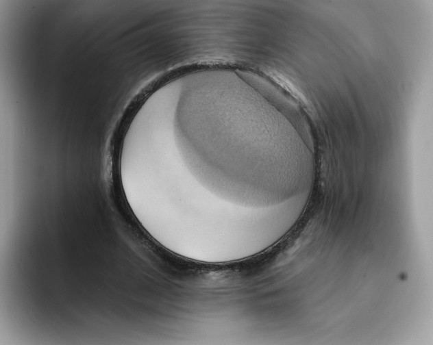 X0000091580584200709171117