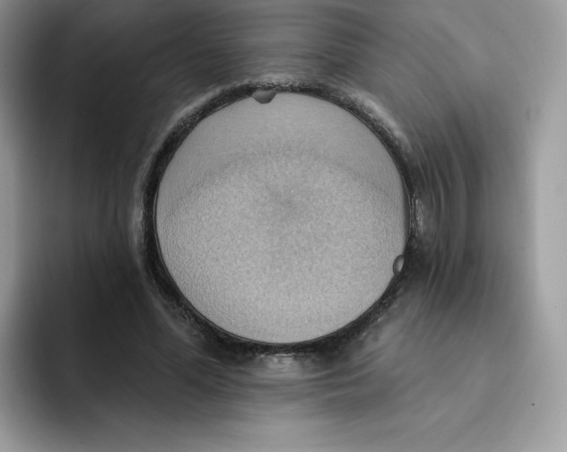 X0000091580588200709171117