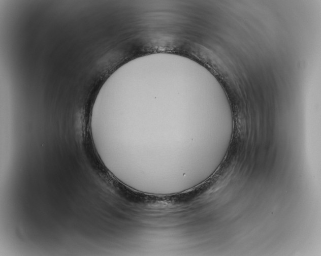 X0000091580594200709171117