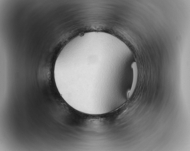 X0000091580595200709171117