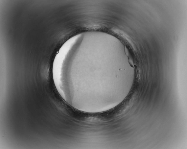 X0000091580596200709171117