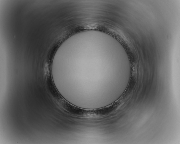 X0000091580598200709171117