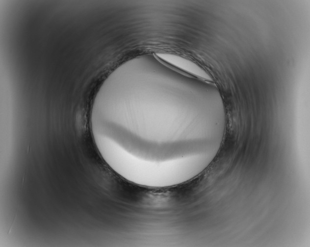X0000091580606200709171117
