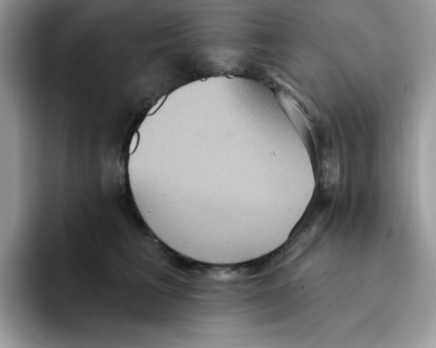 X0000091580613200709171117