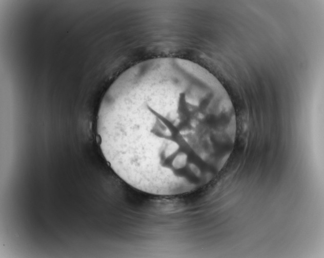 X0000091580615200709171117