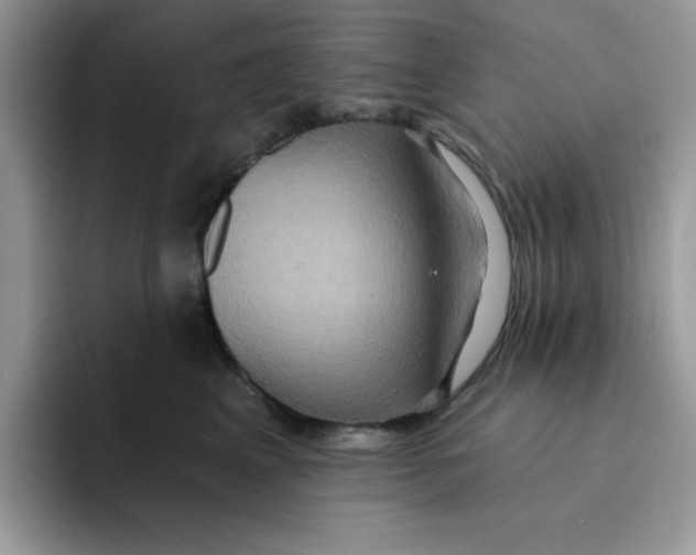 X0000091580617200709171117