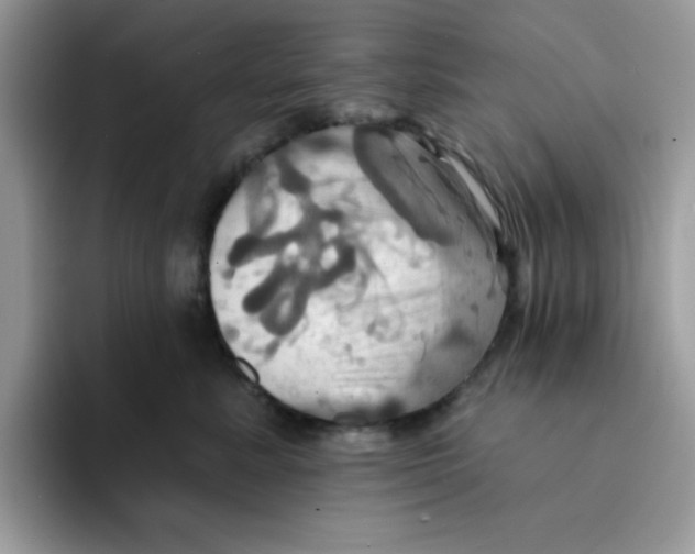 X0000091580619200709171117
