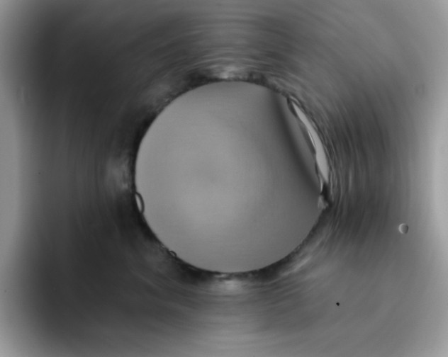 X0000091580620200709171117