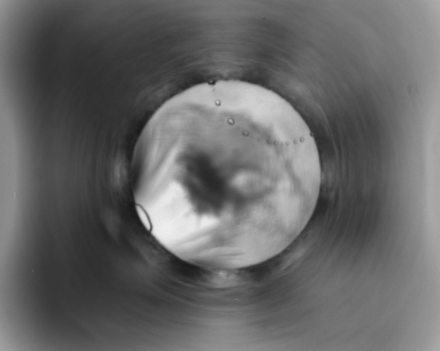 X0000091580623200709171117