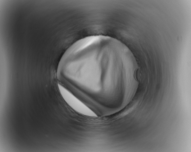 X0000091580624200709171117