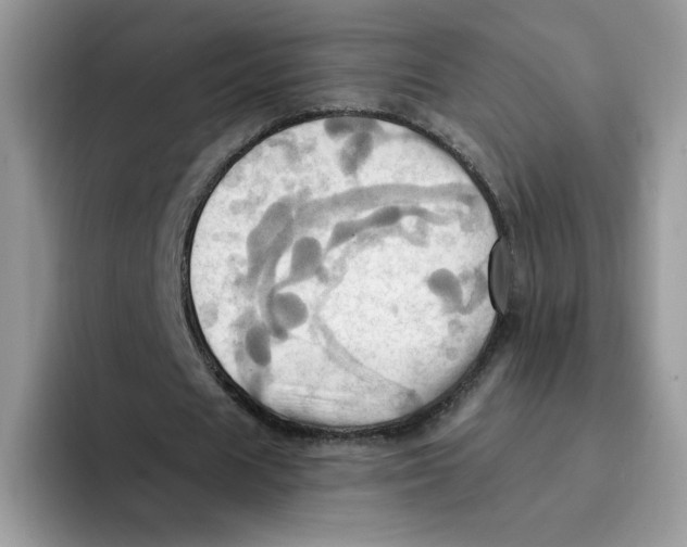 X0000091580625200709171116