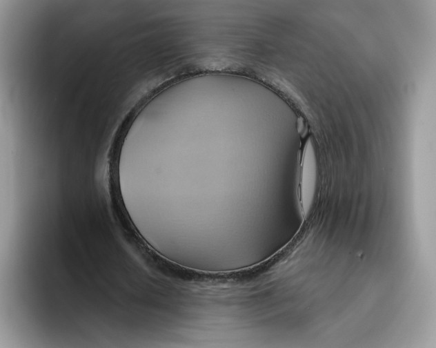 X0000091580626200709171116