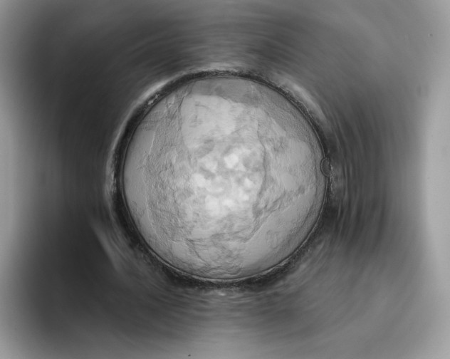 X0000091580628200709171116