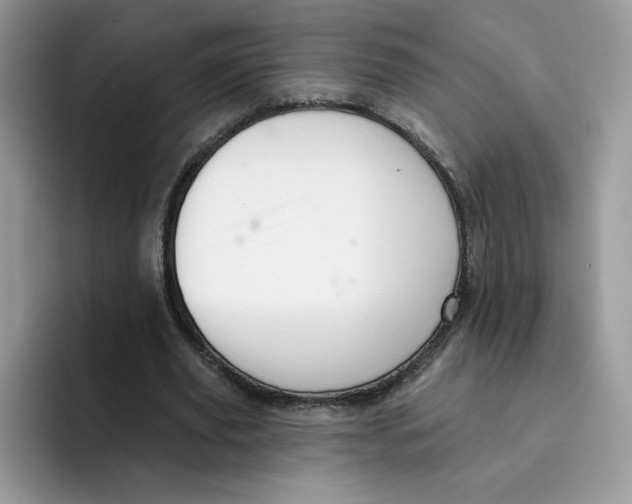 X0000091580629200709171116