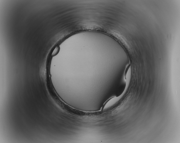 X0000091580630200709171116