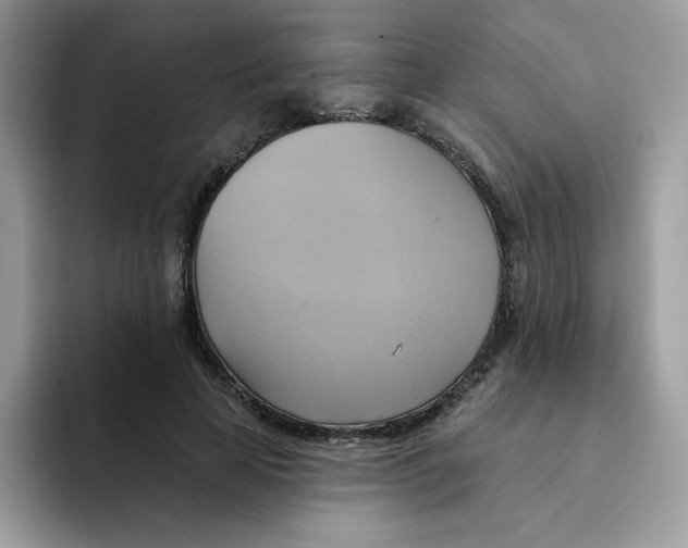 X0000091580641200709171116