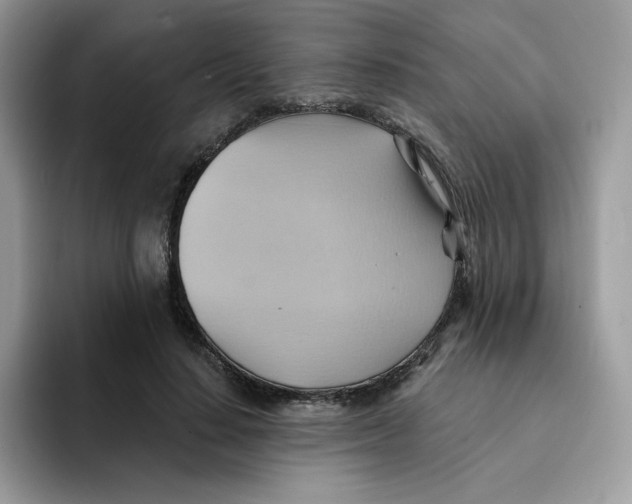 X0000091580644200709171116