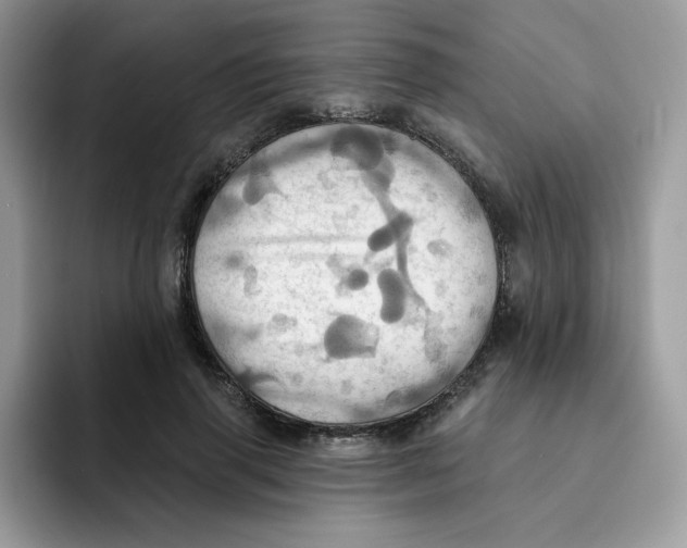 X0000091580645200709171116