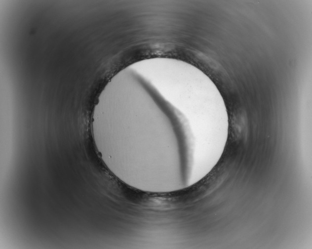 X0000091580657200709171116