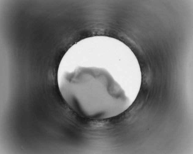 X0000091580661200709171116