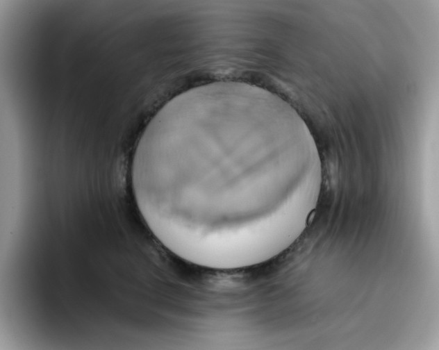 X0000091580664200709171116