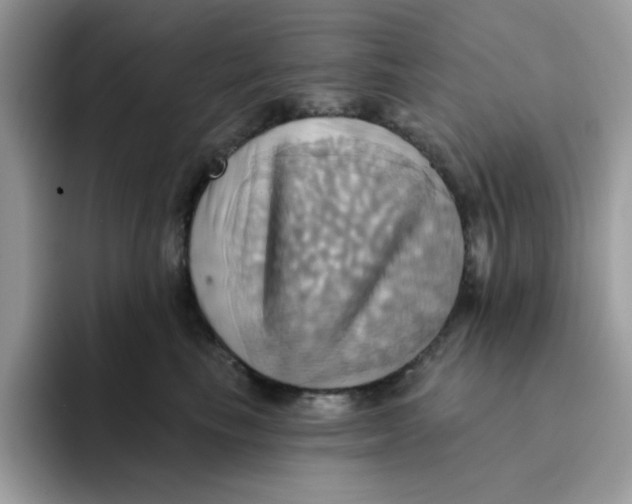 X0000091580665200709171116