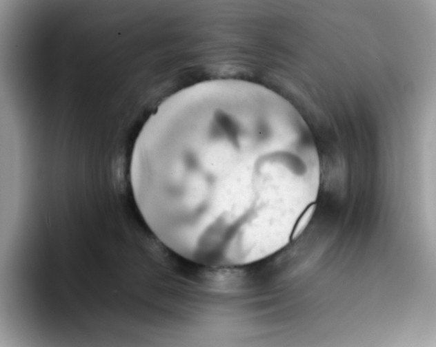 X0000091580670200709171117