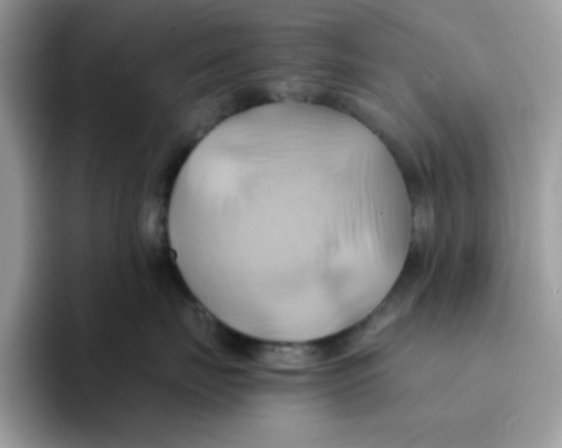 X0000091580671200709171117