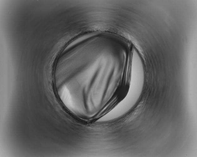 X0000091580673200709171116