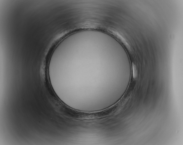 X0000091580675200709171116